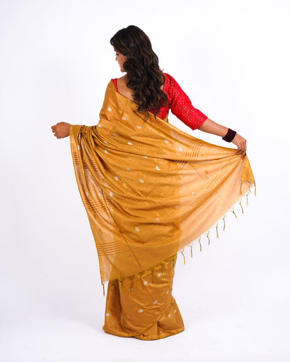Anuttara Women's Mustard Bhagalpuri Cotton Silk Golden Border Solid Ethnic Saree With Blouse_AFS1209-FS
