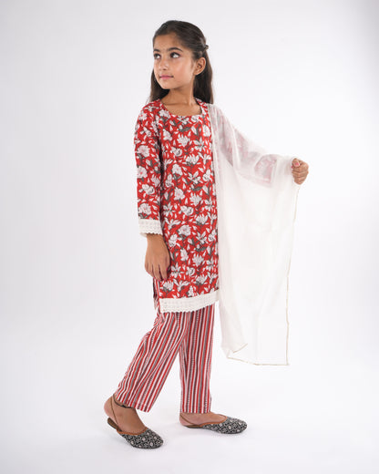 Anuttara Red Pure Cotton Straight Kurta Pant & Dupatta Set_FJG1047