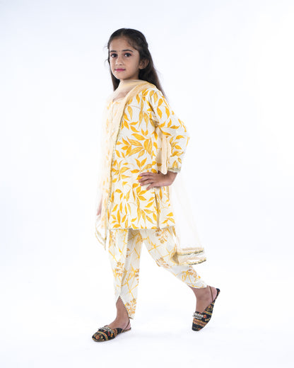 Anuttara Beige Pure Cotton Straight Kurta Dhoti Pant & Dupatta Set_FJG1061